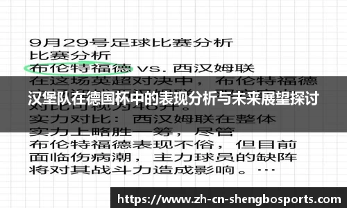 汉堡队在德国杯中的表现分析与未来展望探讨